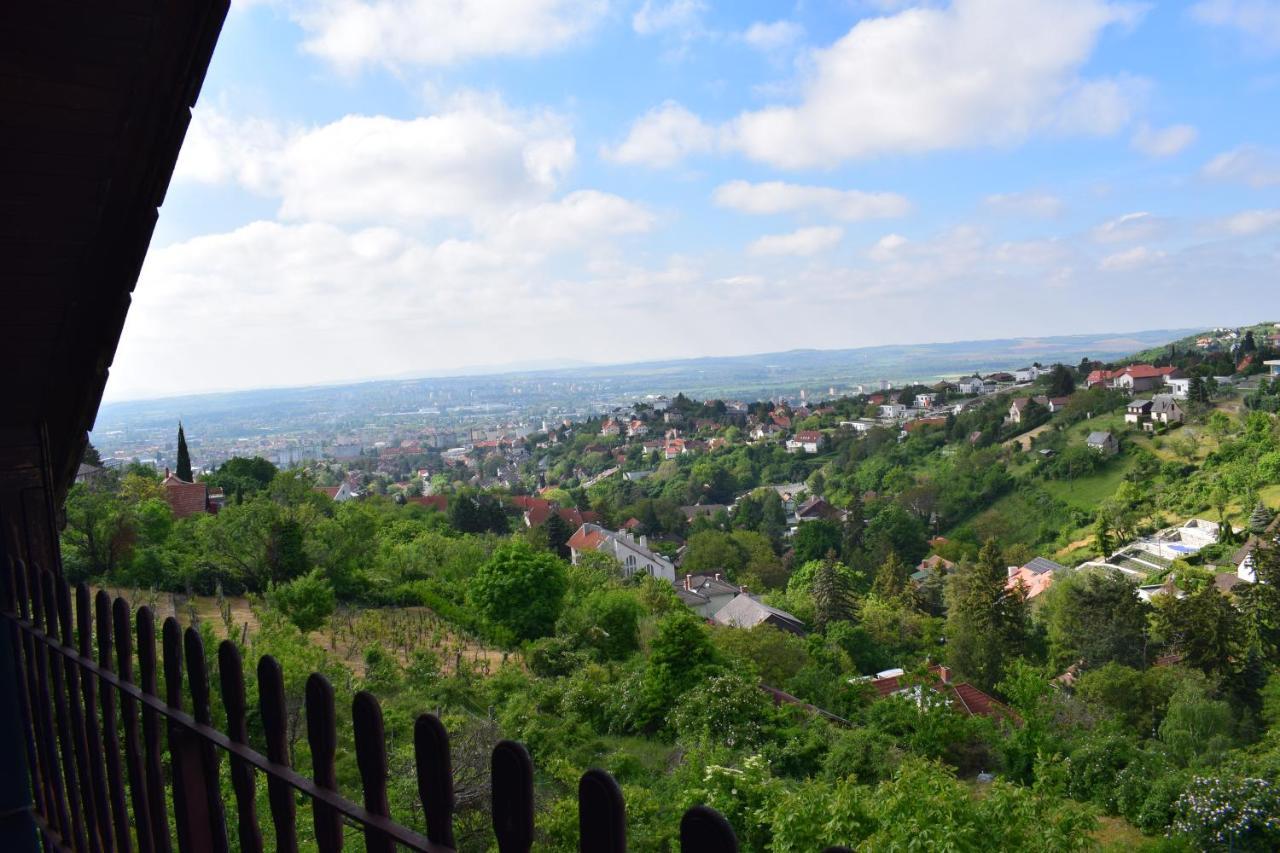 Panorama Kucko Apartment Pecs Exterior photo